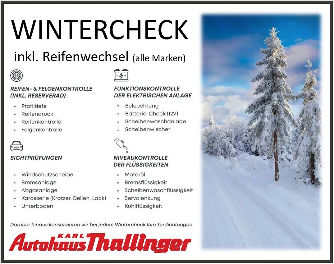 Wintercheck Autohaus Thallinger